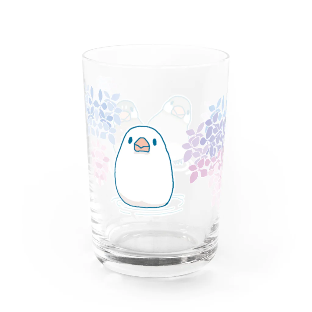 BUNCHOBOXのあじさい文鳥さん Water Glass :left