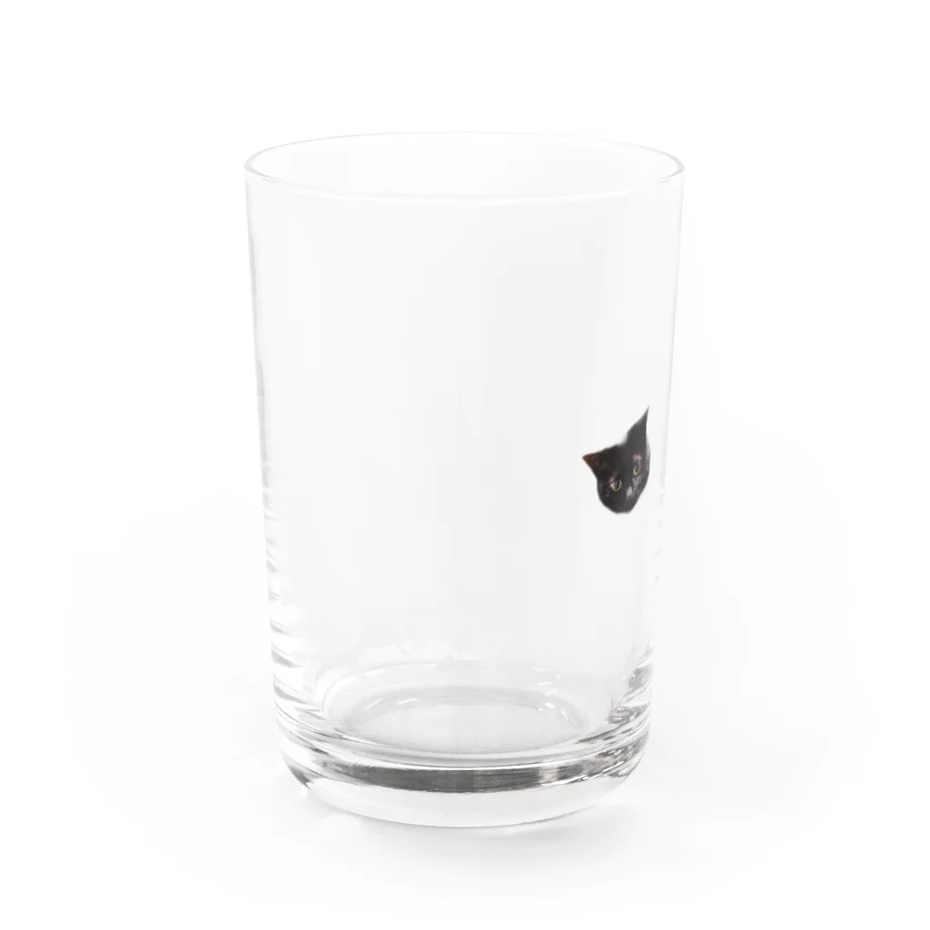 キムラのジジ　かお Water Glass :left