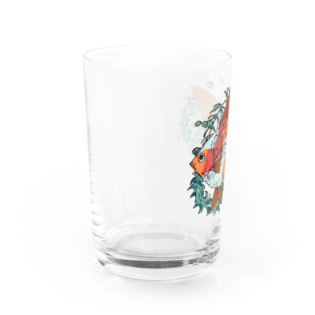 恒福水路の金魚（琉金）グラス グラス左面