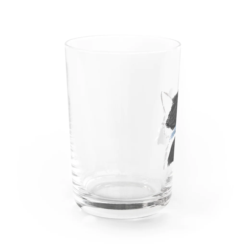 クロミケハチワレのハチワレ猫さんの後ろ頭 Water Glass :left