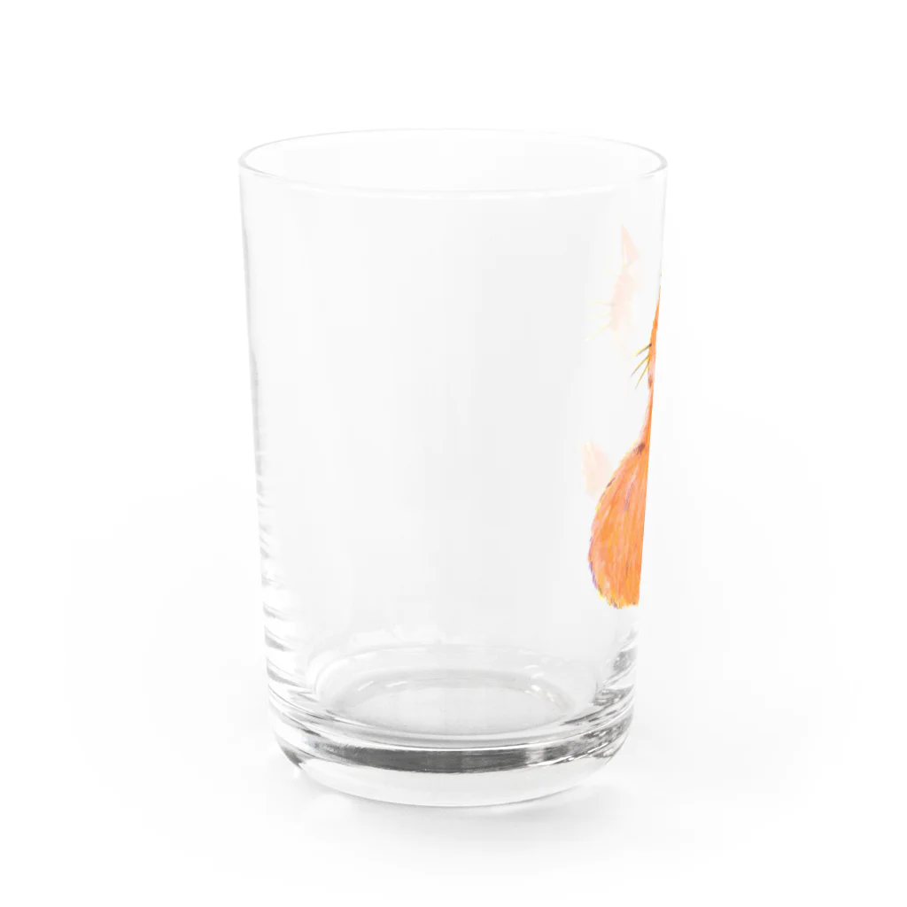 Sunny the catのSunny／ふりむき Water Glass :left
