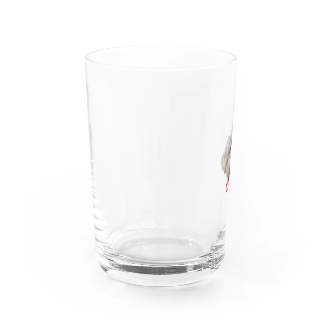 caicaiziのcoco Water Glass :left