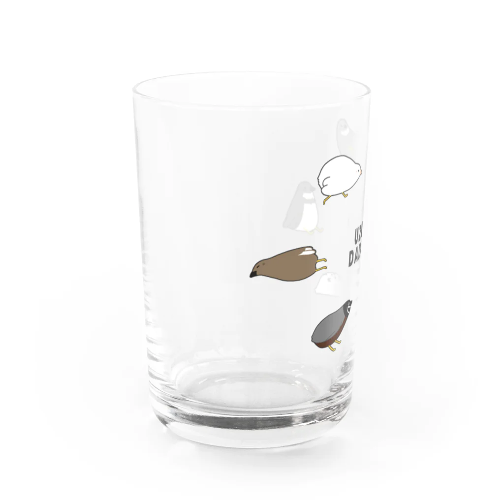 wa_cameのうずらサークル黒フチ Water Glass :left