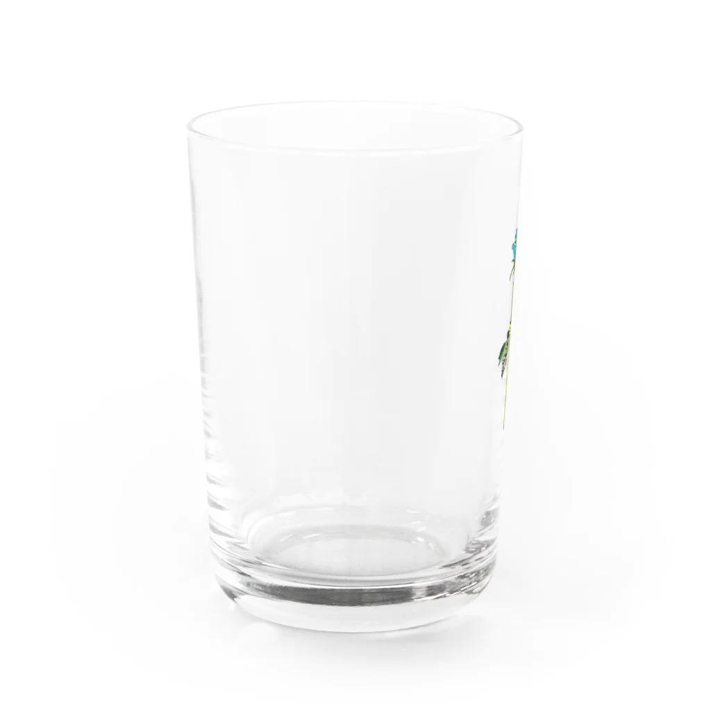 majoccoの奇跡 Water Glass :left