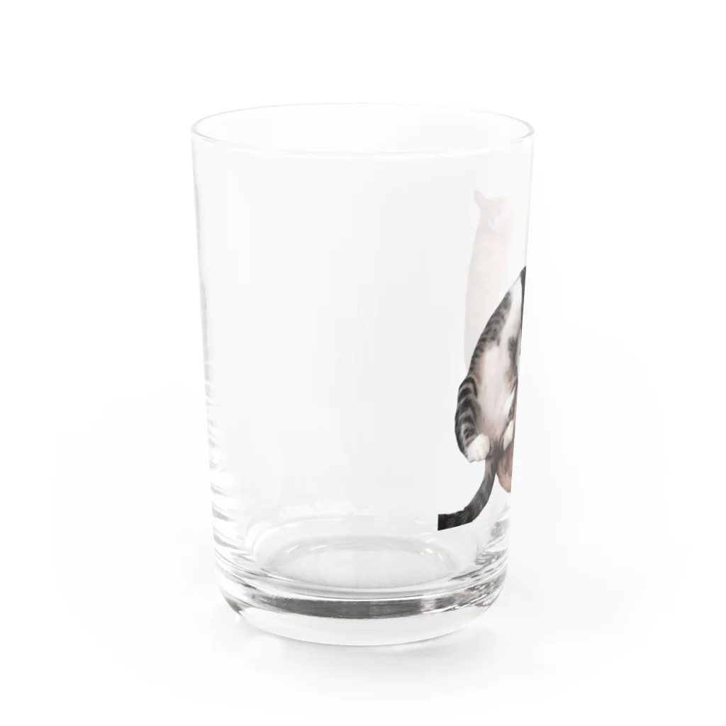 ナカムラショップのひとんちのねこ（にひき） Water Glass :left