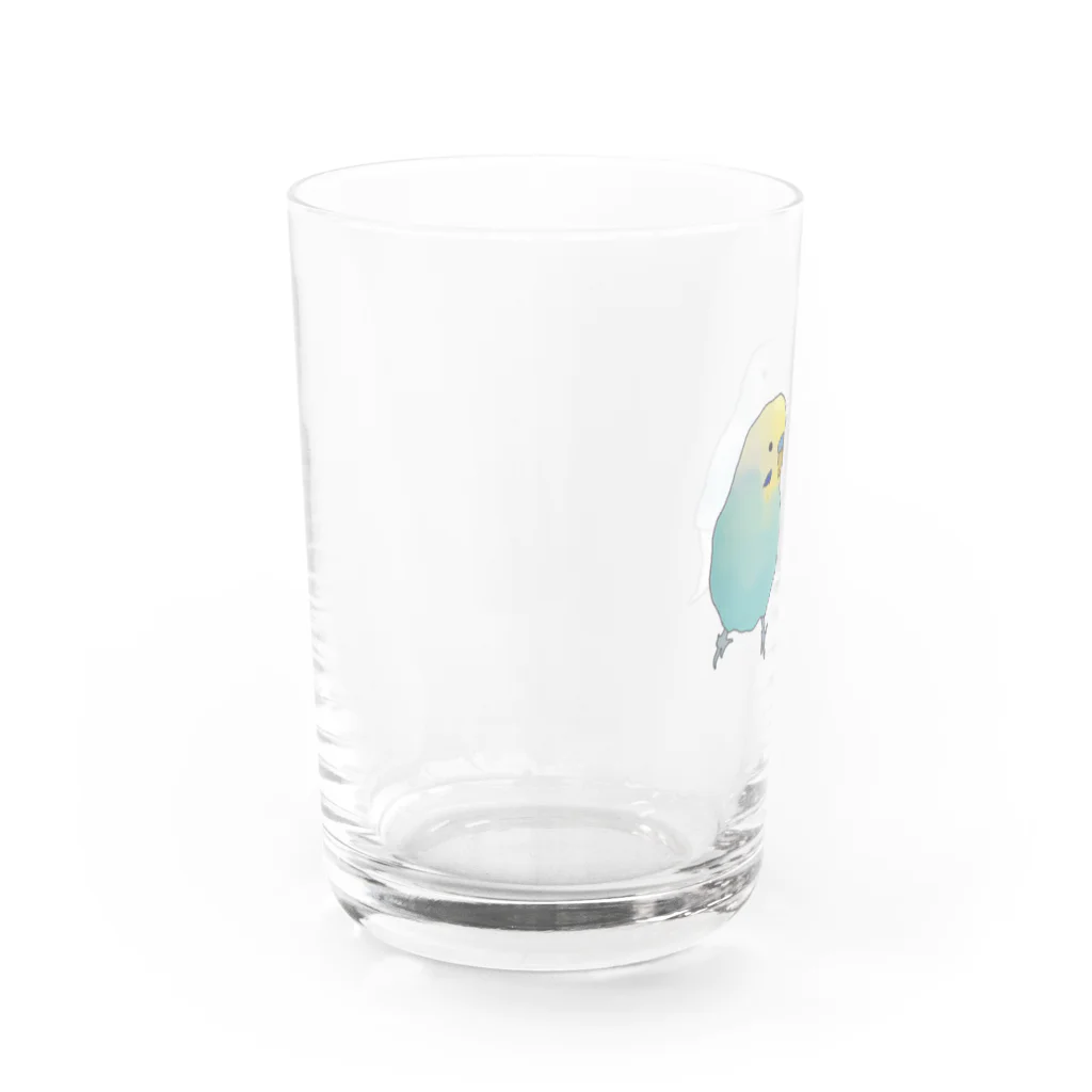 Talkingのセキセイインコ Water Glass :left