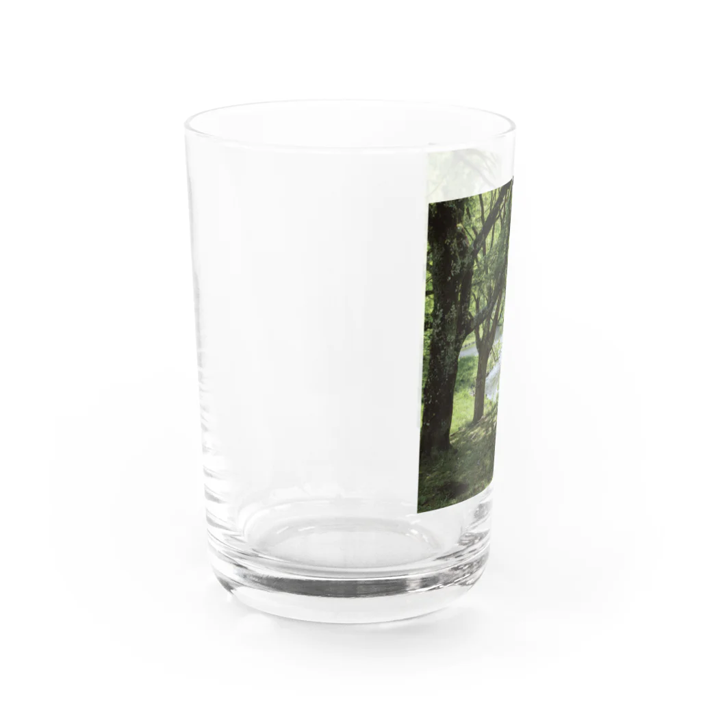 akane_art（茜音工房）の癒しの風景（樹木） Water Glass :left