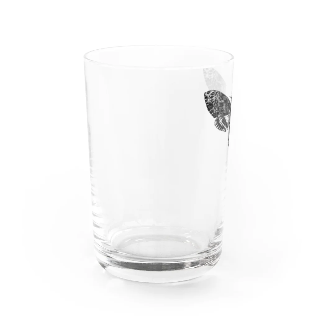 シャレコーベミュージアムのメンガタスズメ Water Glass :left
