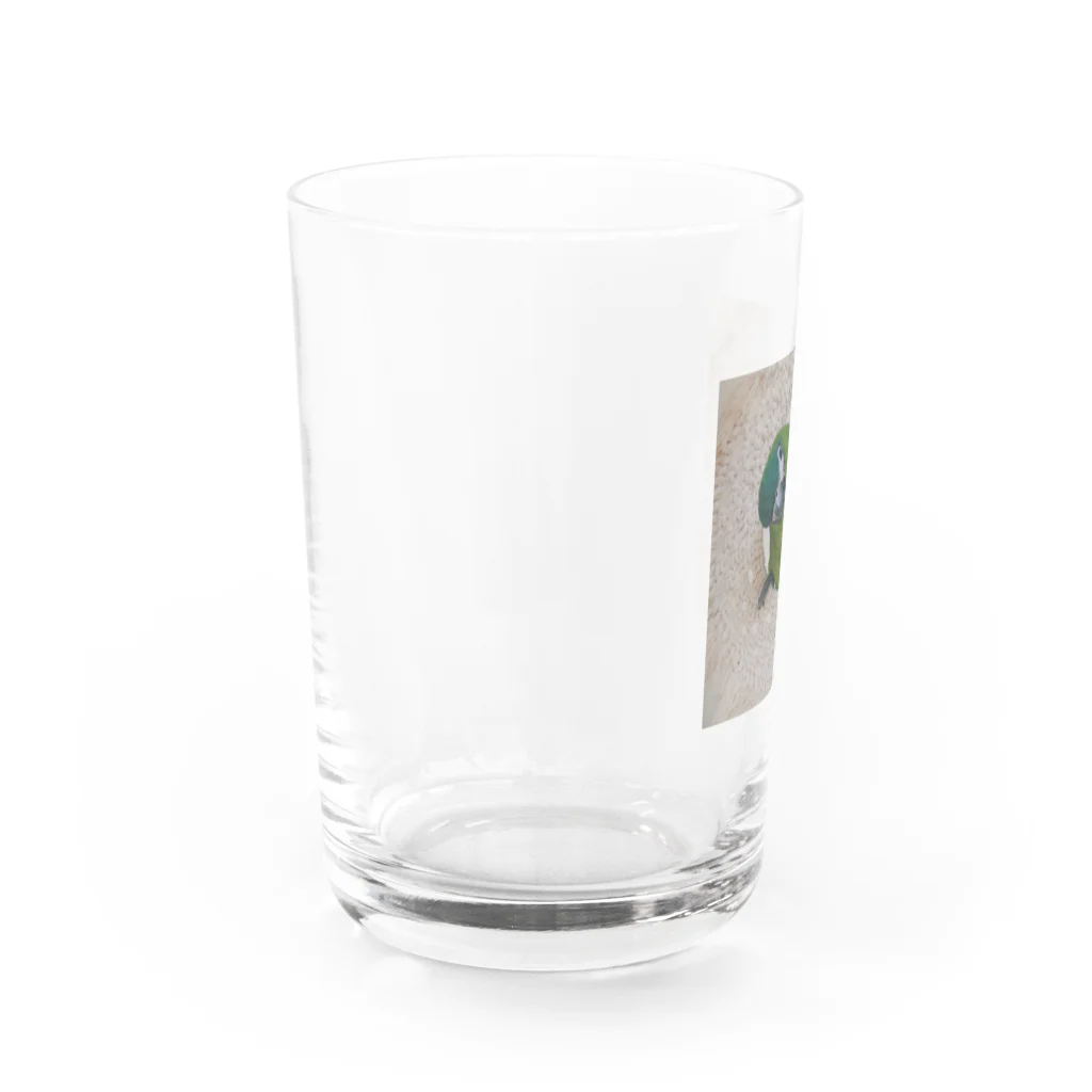 がっちゃんとアラレと小福のアラレ Water Glass :left