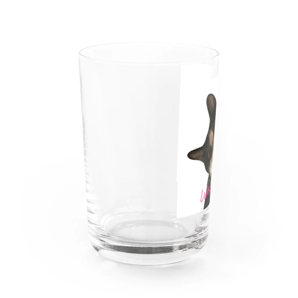 mooncatのMy cat R Water Glass :left