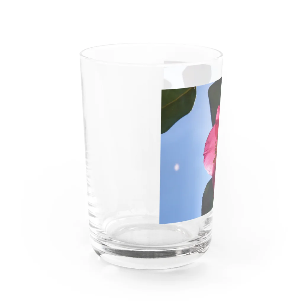 Ukazuのつばき Water Glass :left