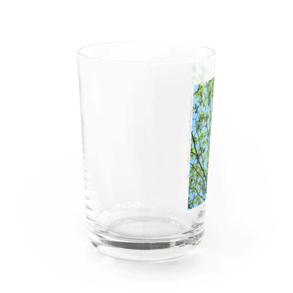 水彩屋の森林浴🌲 Water Glass :left