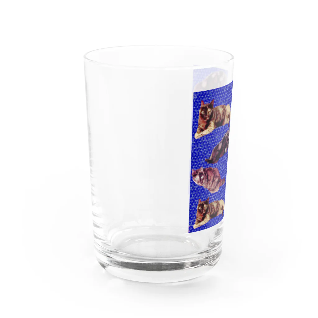 水彩屋のサビ猫で虎柄 Water Glass :left