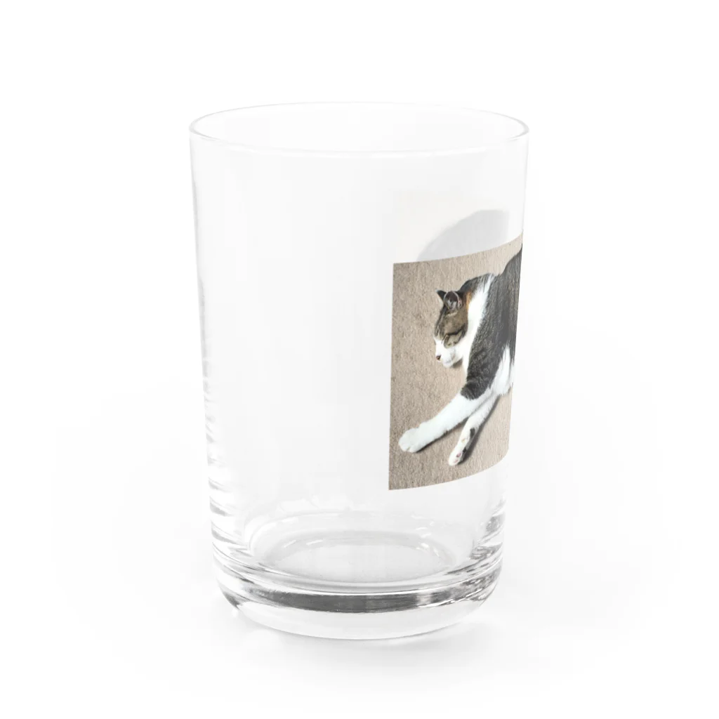 まさむねの姉のまさむね_2 Water Glass :left