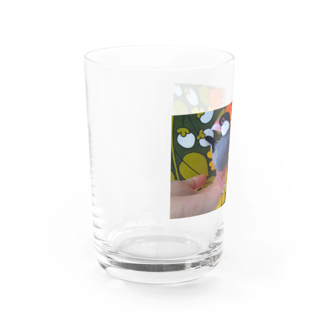 フラミンゴノリコののびちゃん③ Water Glass :left