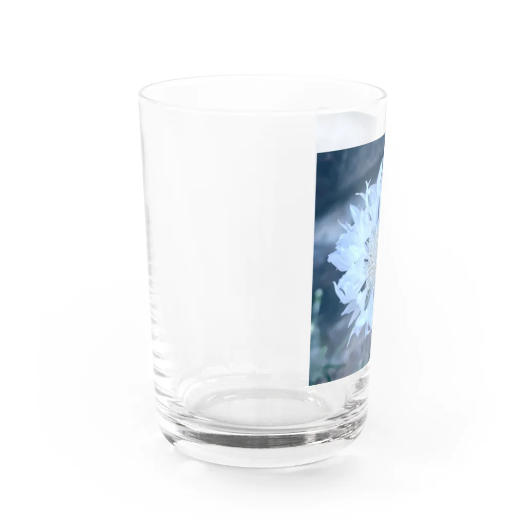 賄い。の世界で1番好きな花。 Water Glass :left