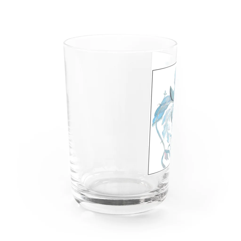 カンザシフウチョウの涼しげな何か Water Glass :left