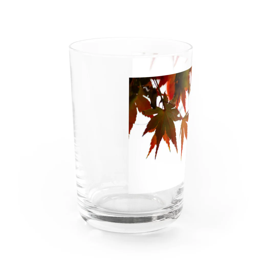 AI生成画像・風景・小物の写真をグッズにしてみましたの楓 Water Glass :left