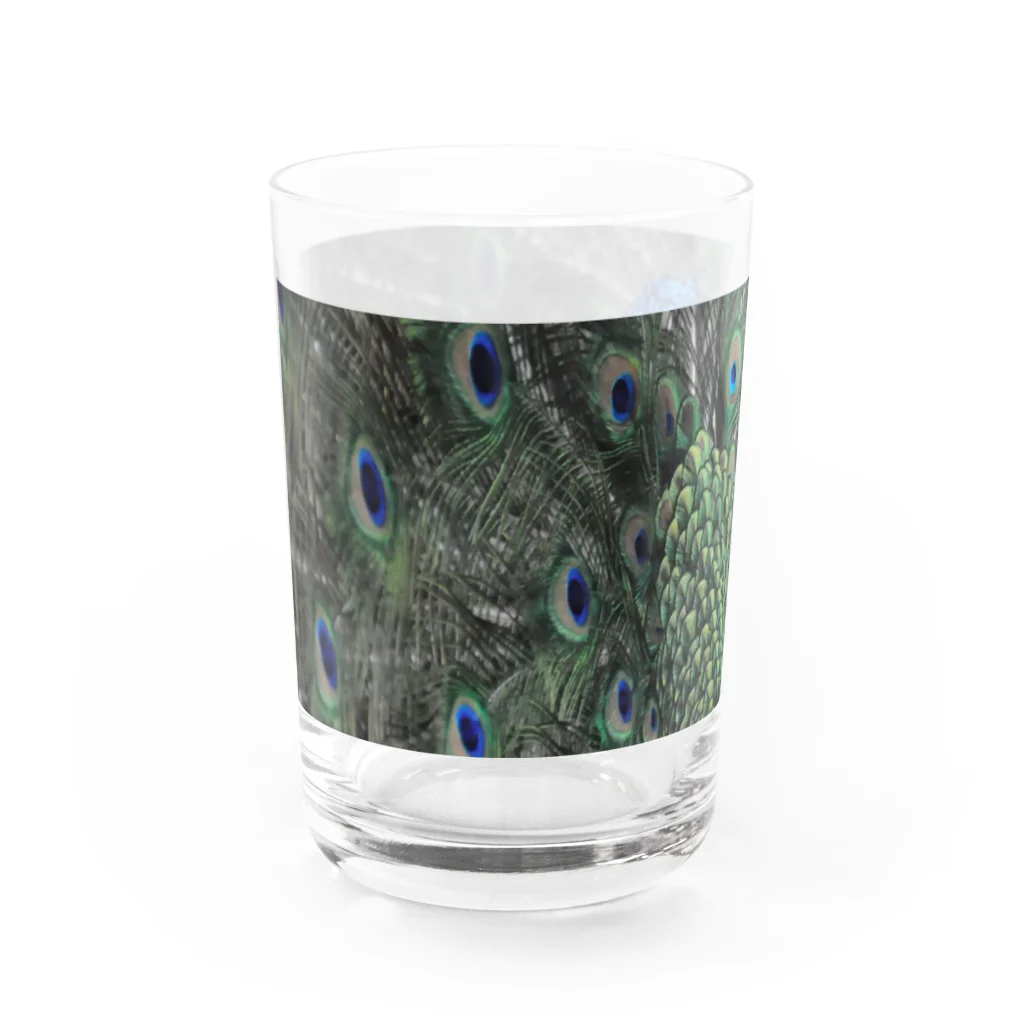 (羊虎魂)の孔雀・2 Water Glass :left