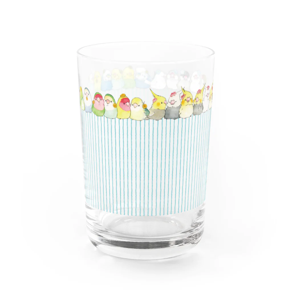 ゆとり屋の小鳥ちゃんいっぱい Water Glass :left