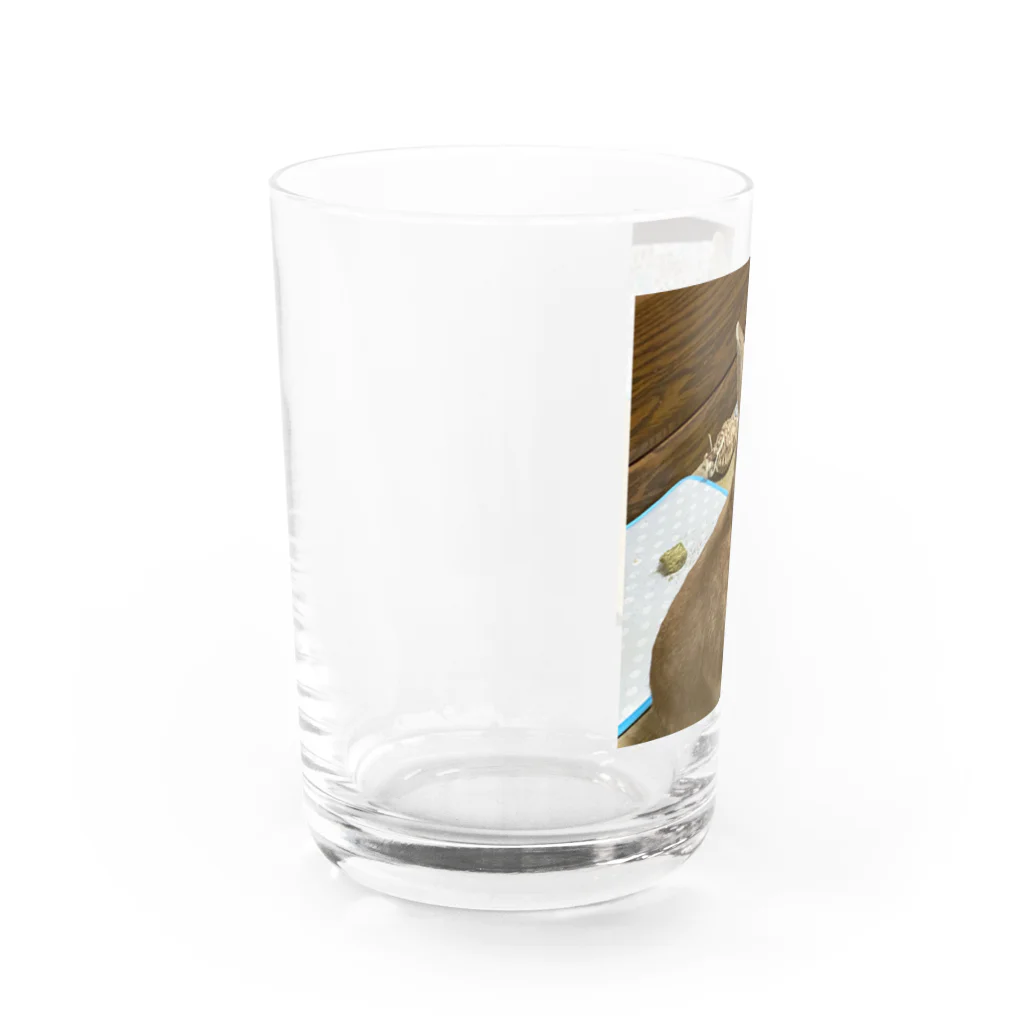 yoshiokasatomiのわらびもち君 Water Glass :left