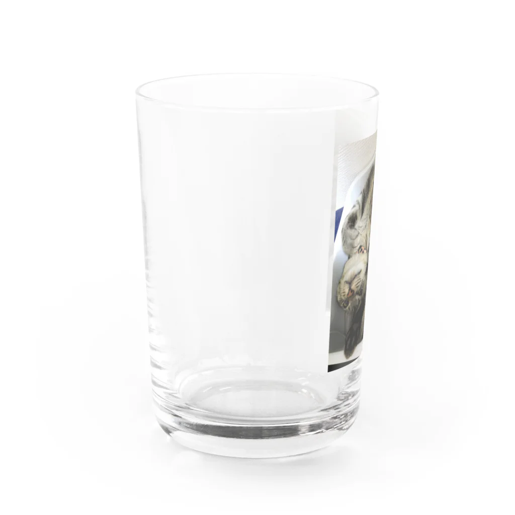 はむちゃんねる🐹のヒナタ様グラス Water Glass :left