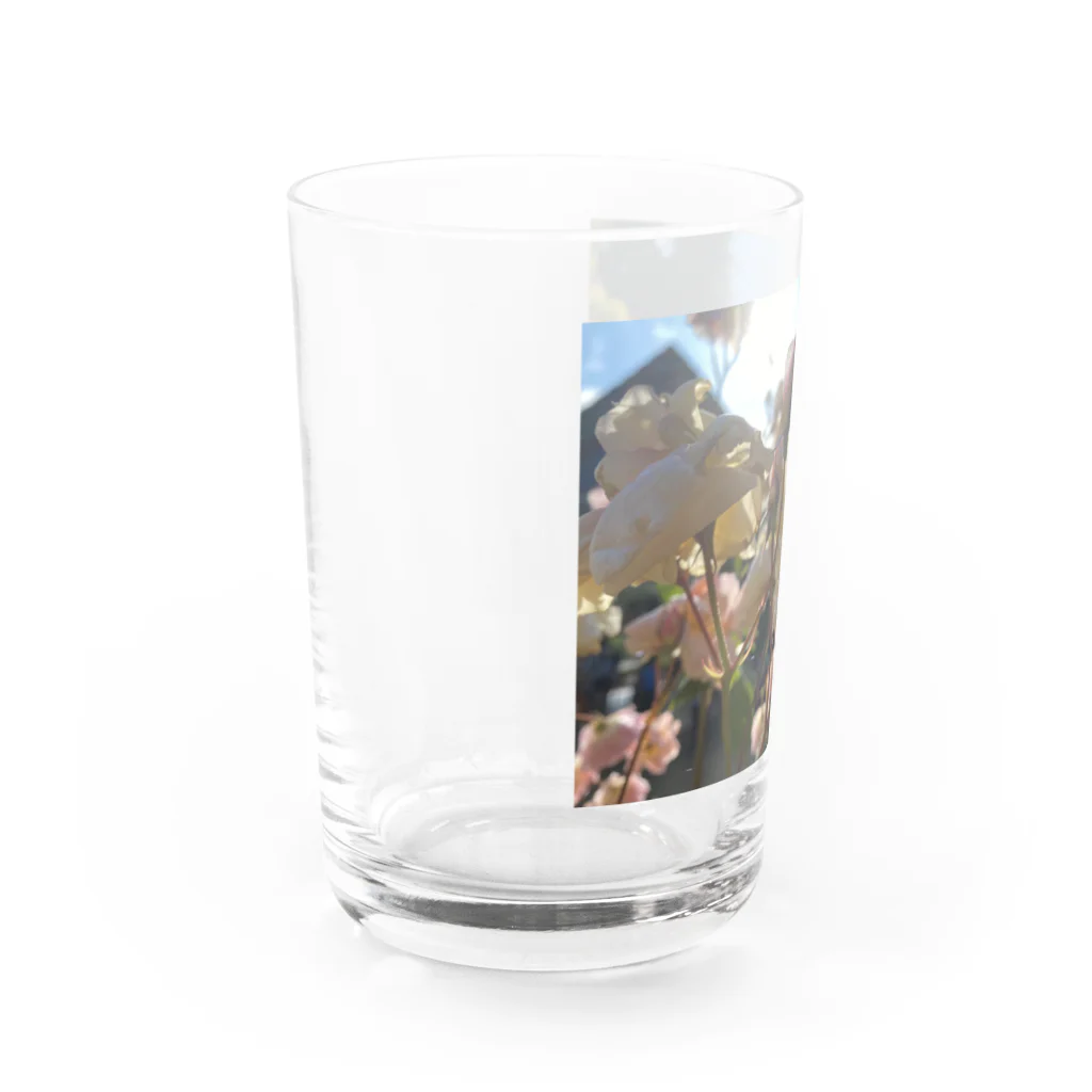 まの間の薔薇・陽光 Water Glass :left