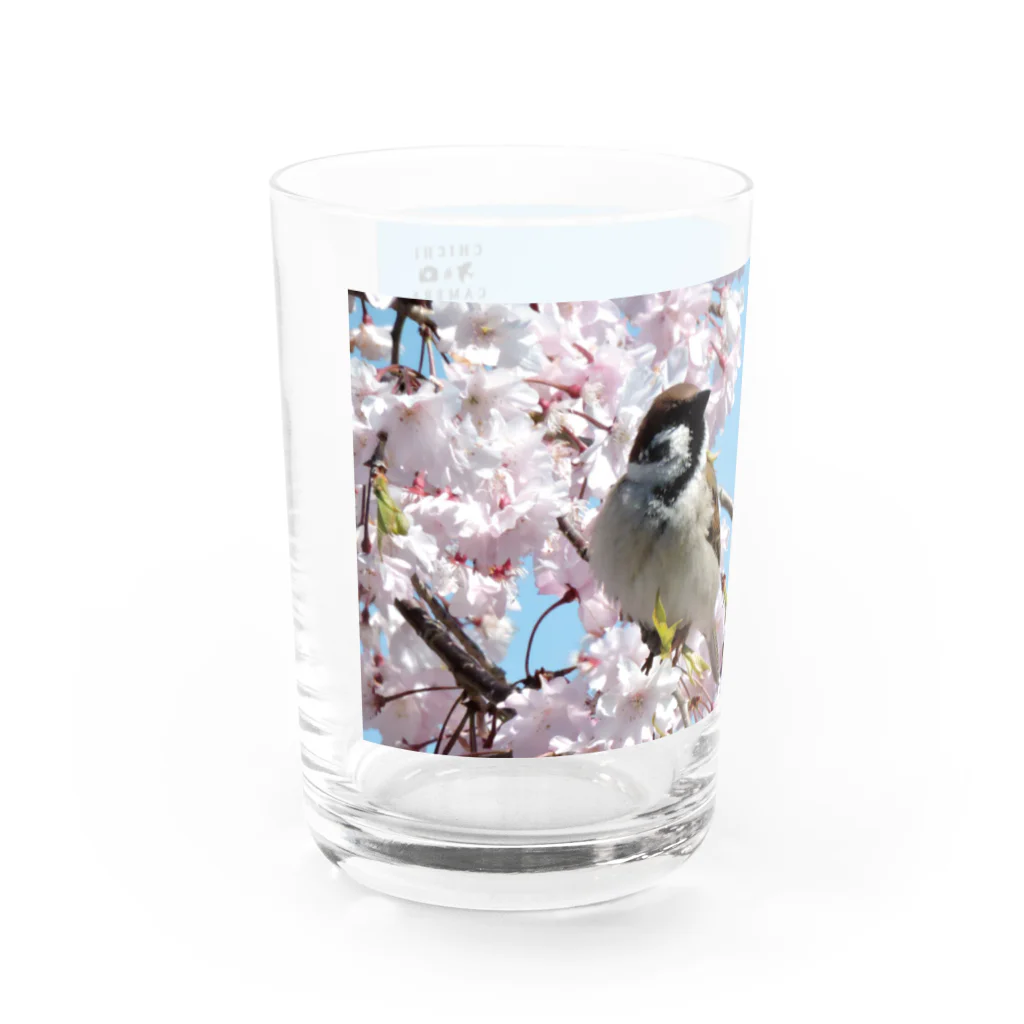 CHICHI&CAMERAのスズメ Water Glass :left