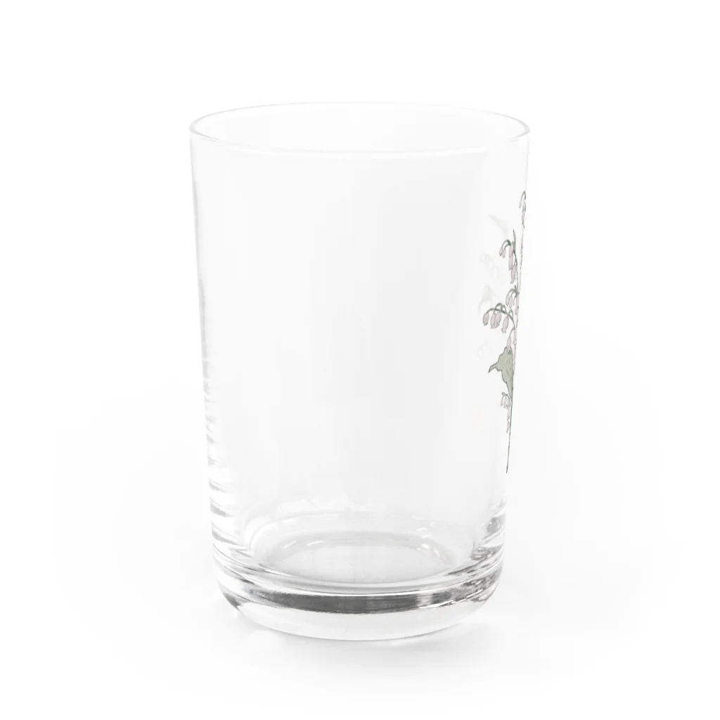 veludoの谷間の姫百合 Water Glass :left