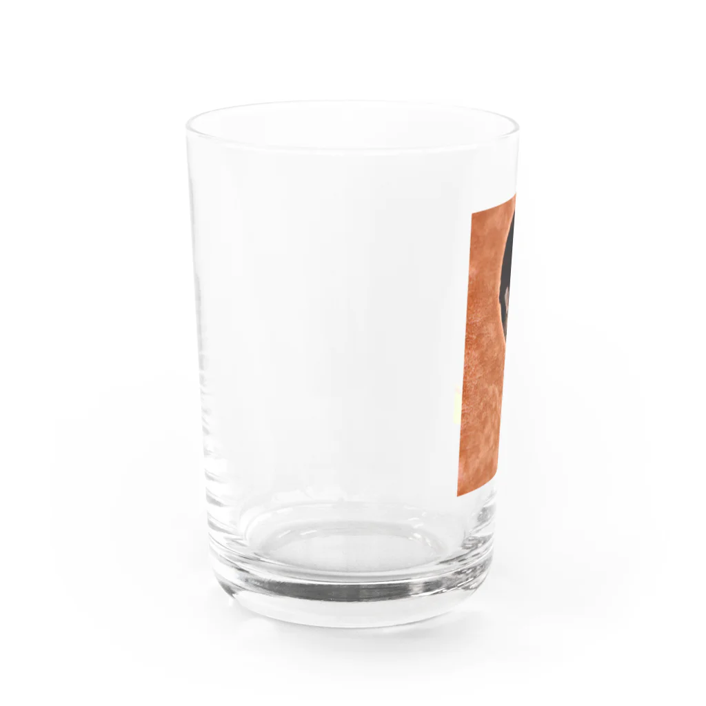 焼きたて屋のうちのチンチラ Water Glass :left