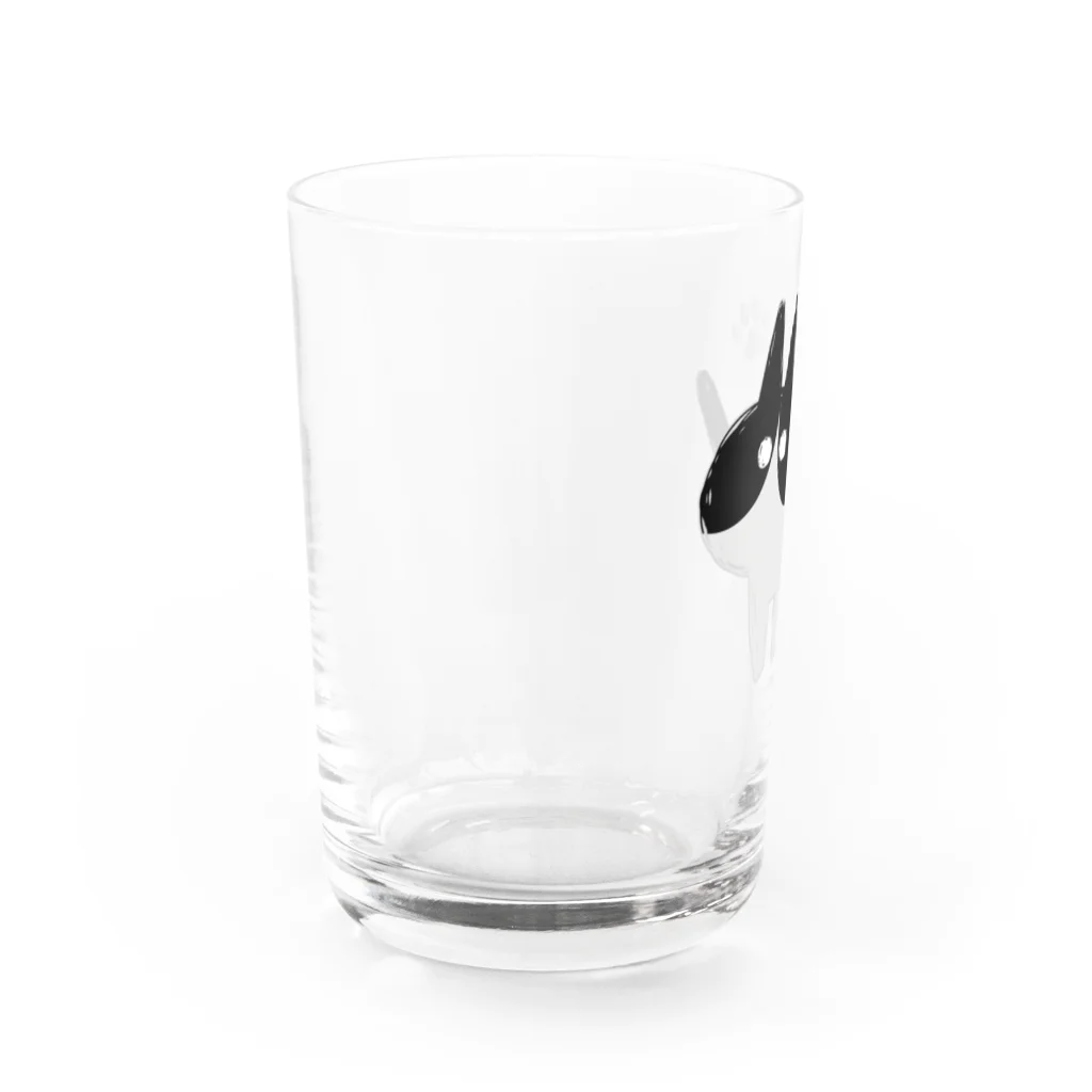 ツギハギ ニクの【GuchaNeko】黒白 Water Glass :left