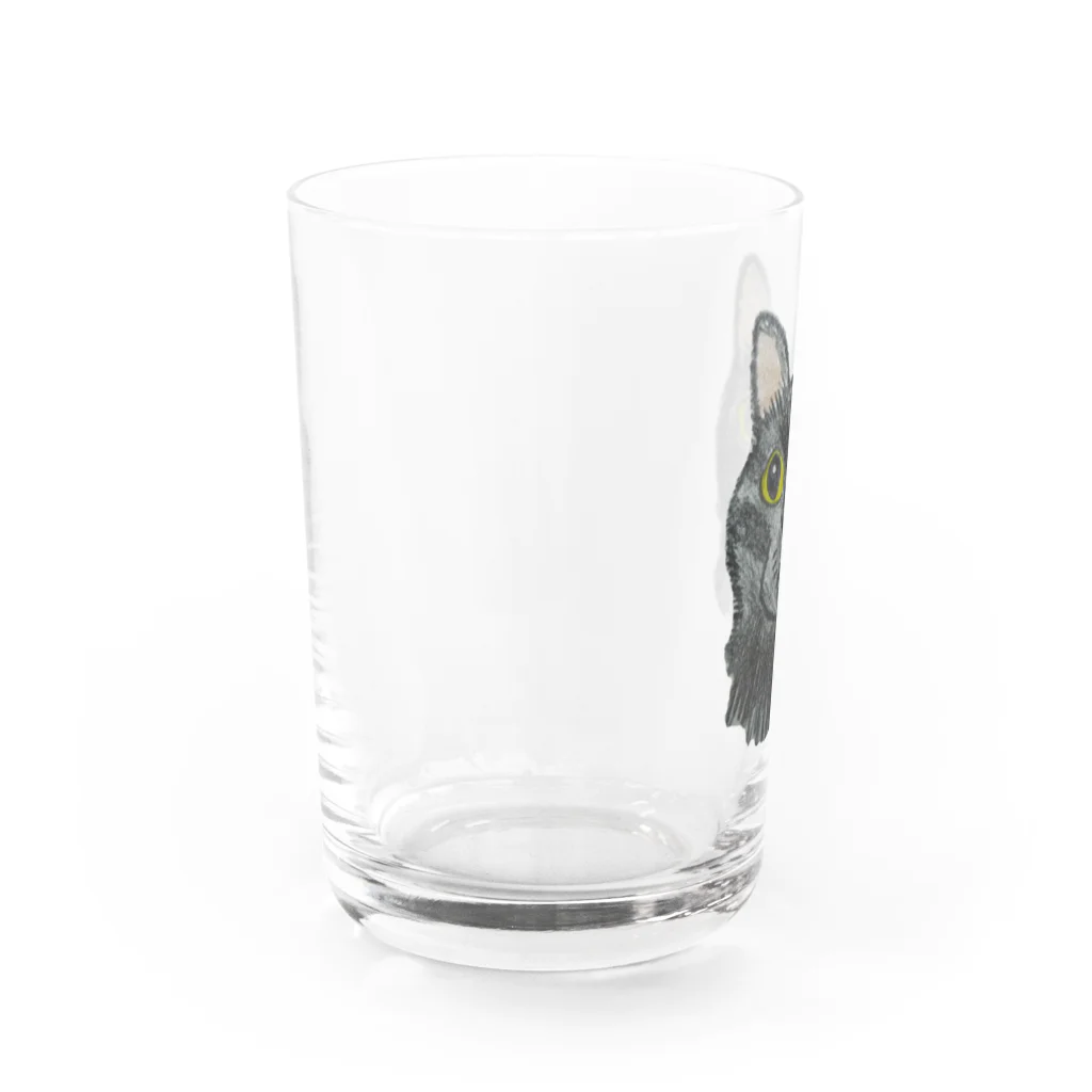 ゲラゴ商會のレオ Water Glass :left