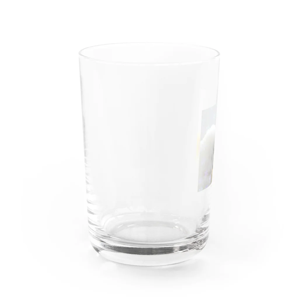 ピッチョコ倶楽部「momo＆kiraku」のオキナインコ「ピッチョコ倶楽部」 Water Glass :left