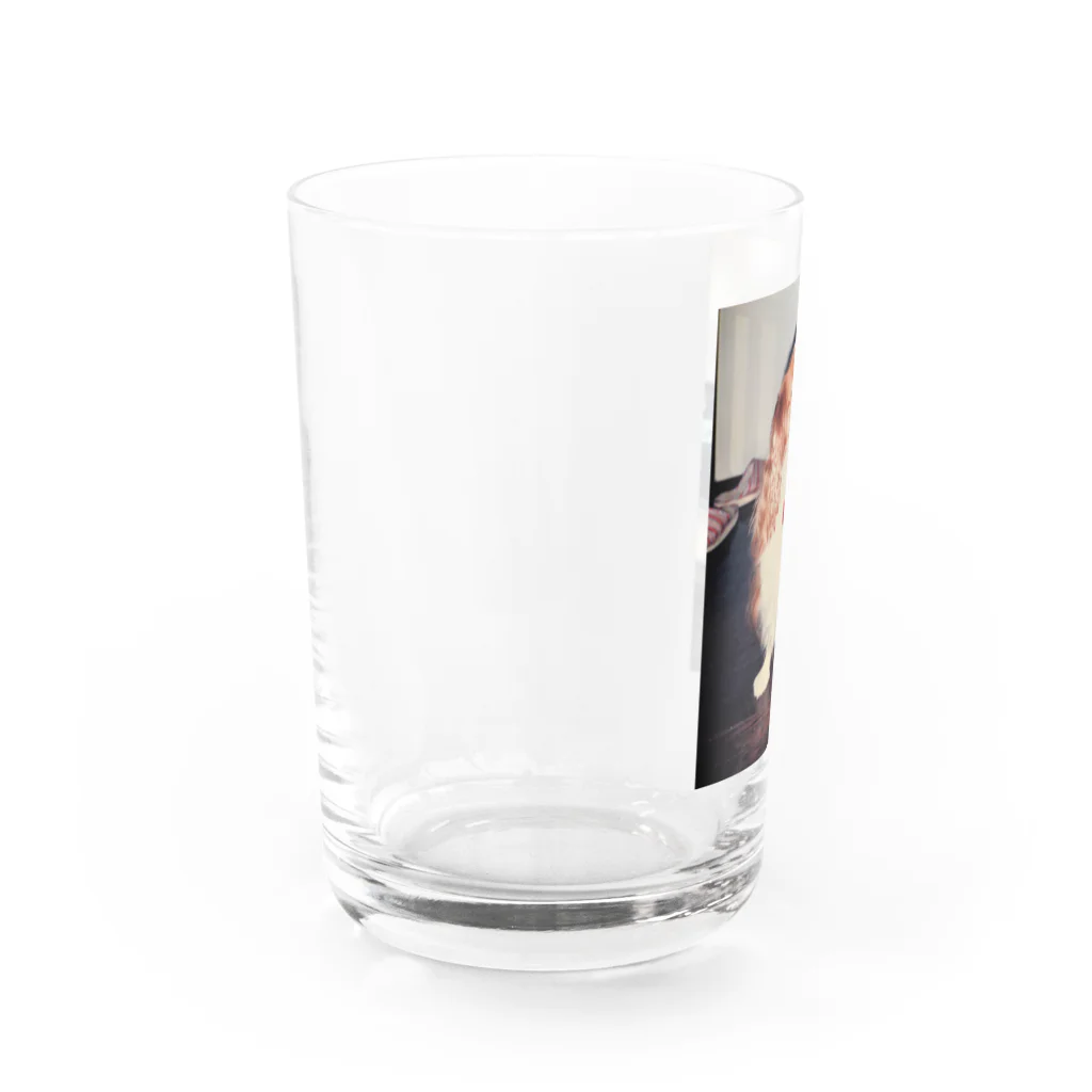 イギリスチョコスキーのキャバリアキングチャールズスパニエル(retro) Water Glass :left