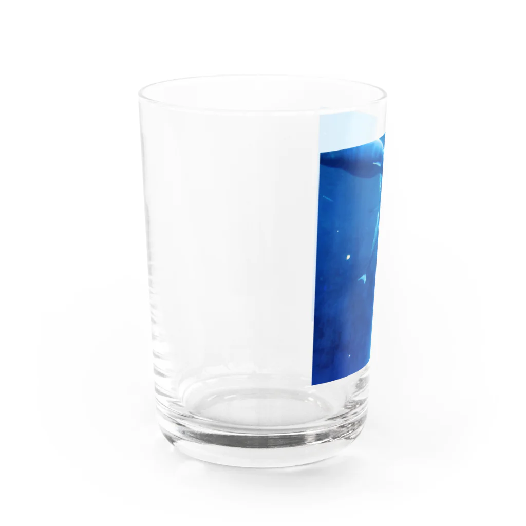 うさぎのSEA Water Glass :left