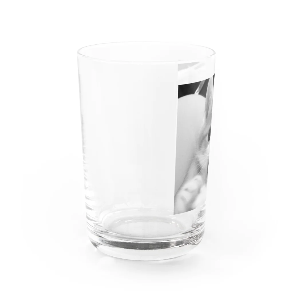 保護猫支援ショップ・パール女将のお宿のおもいで Water Glass :left