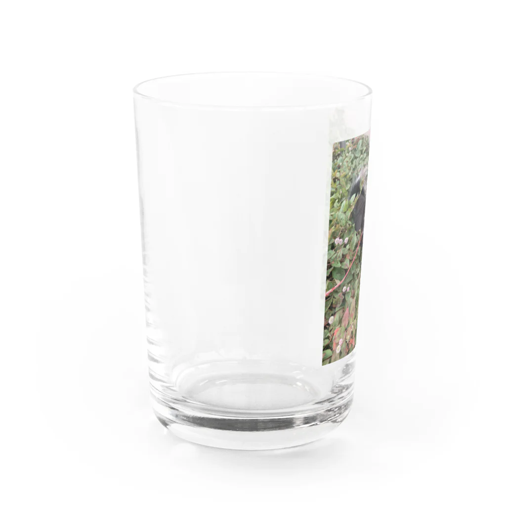 05colloncollon06のコロン3 Water Glass :left