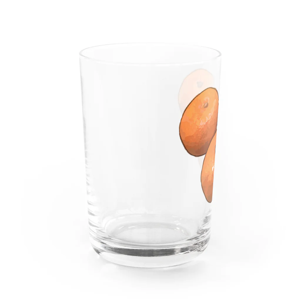 脂身通信Ｚのみかん Water Glass :left