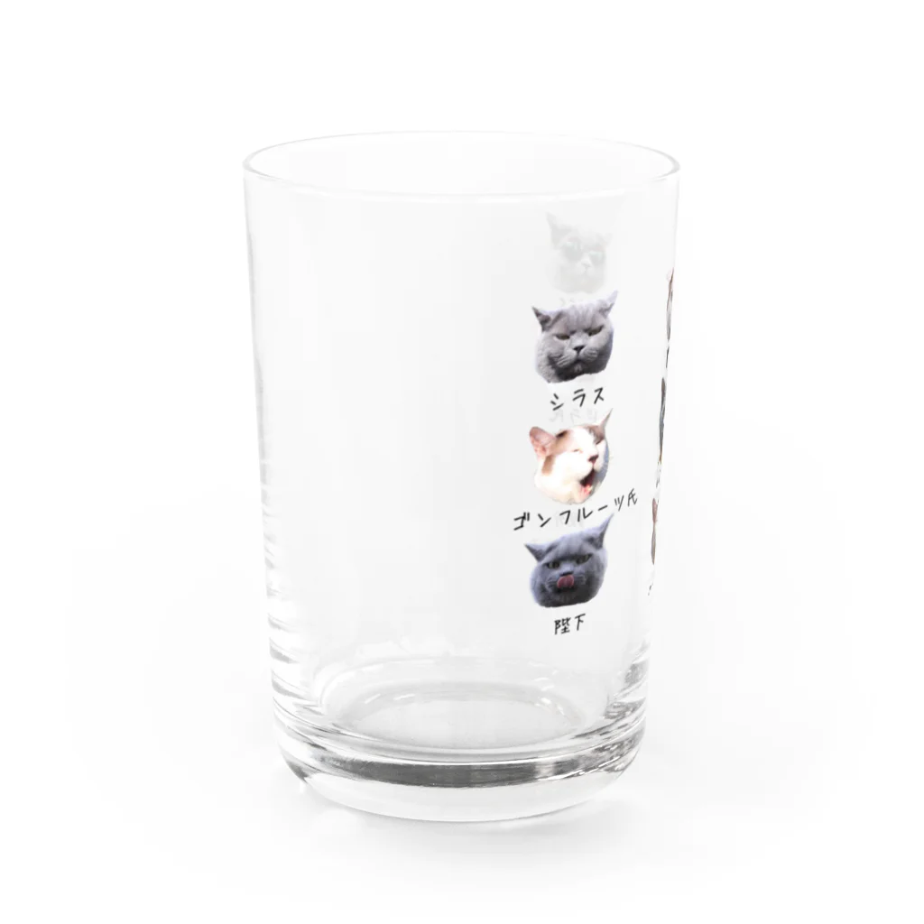 ドラシラスのドラシラス＆ハマチ Water Glass :left