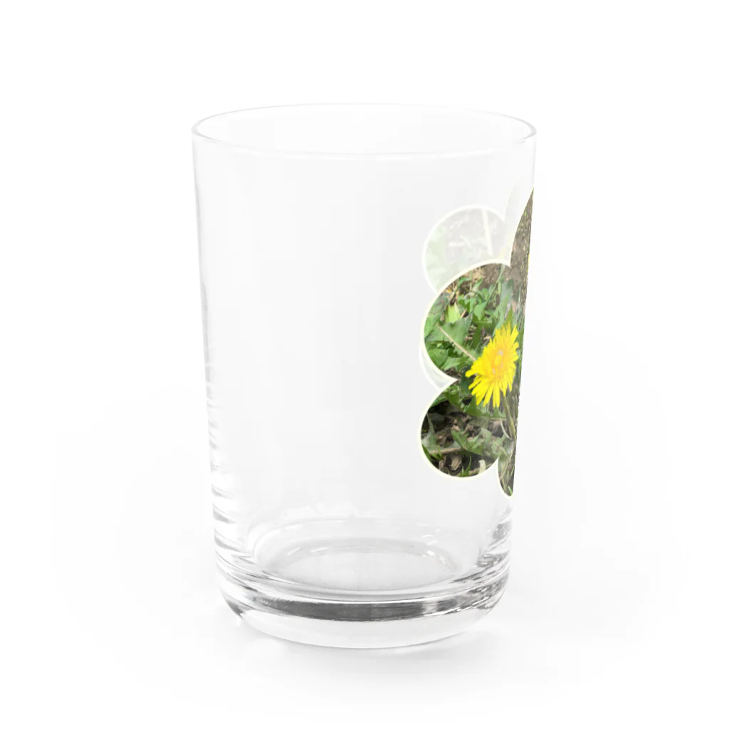 大安門堂の踏まれても咲く道端のたんぽぽ Water Glass :left