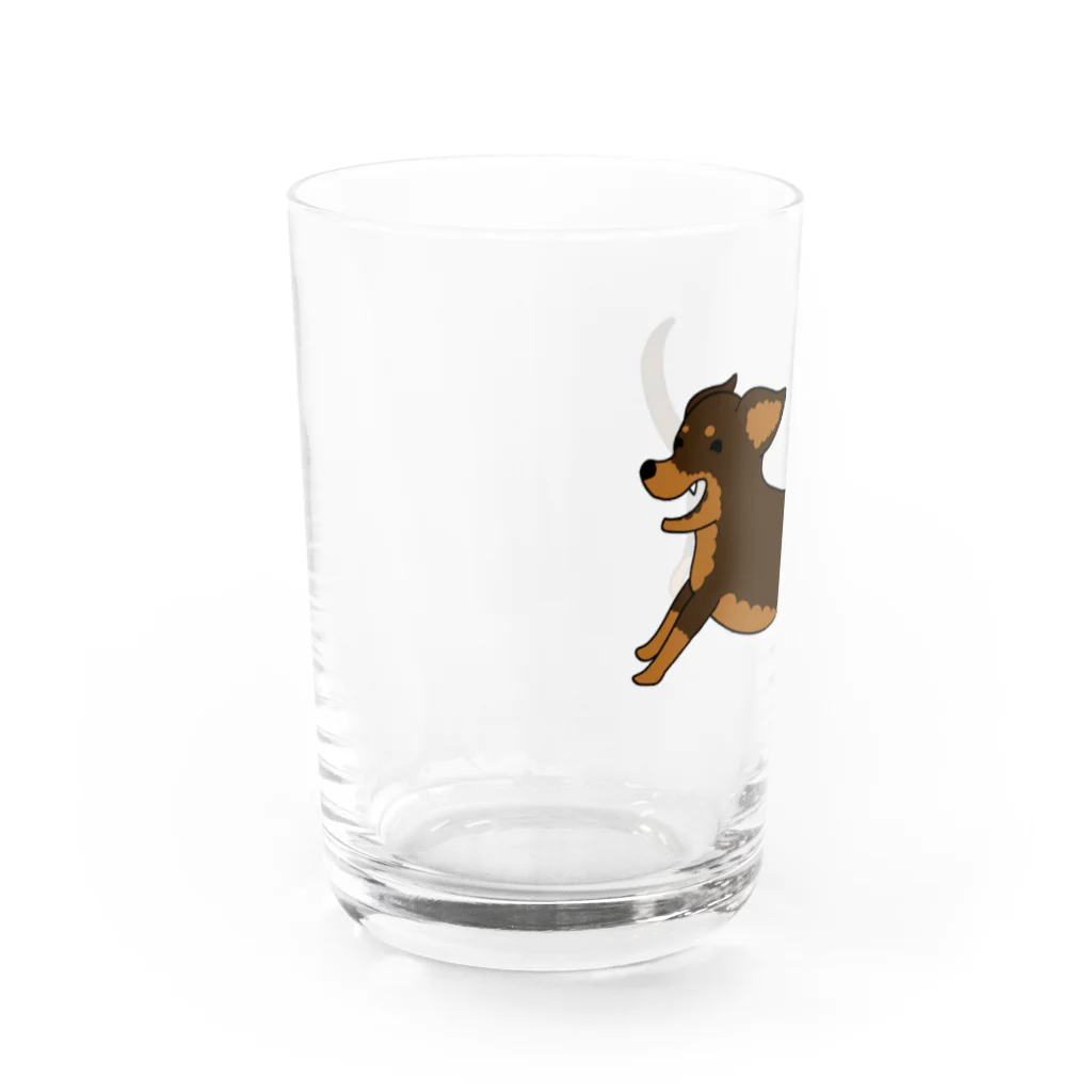 BlumeBellのチワックス・チョコタン Water Glass :left