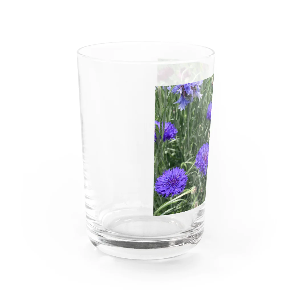 amekoamenokoのflower Water Glass :left