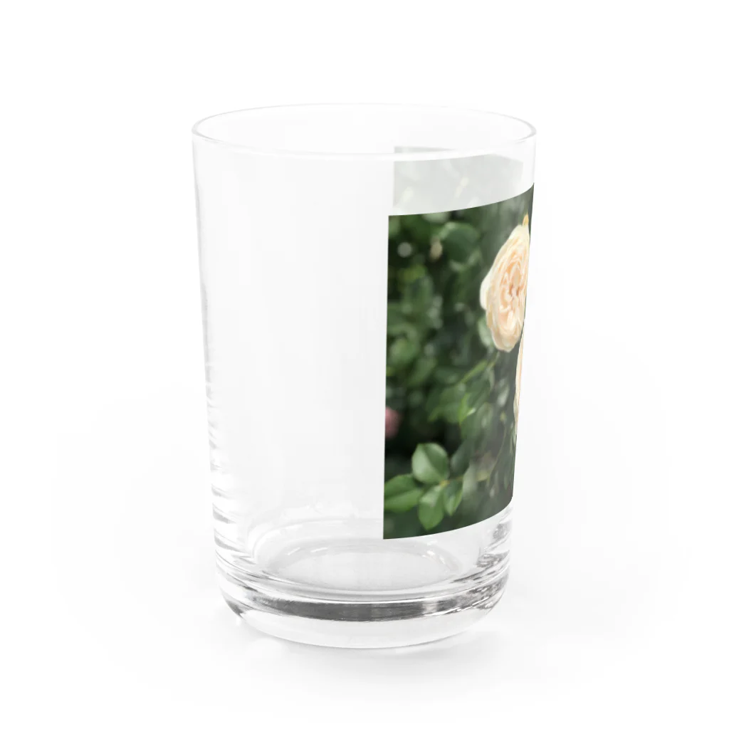 amekoamenokoのflower Water Glass :left