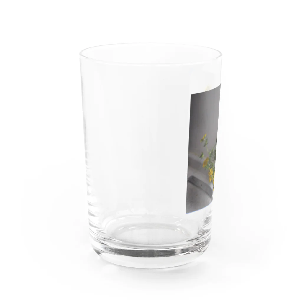 nekonoshippo_jun911のnekono花 Water Glass :left