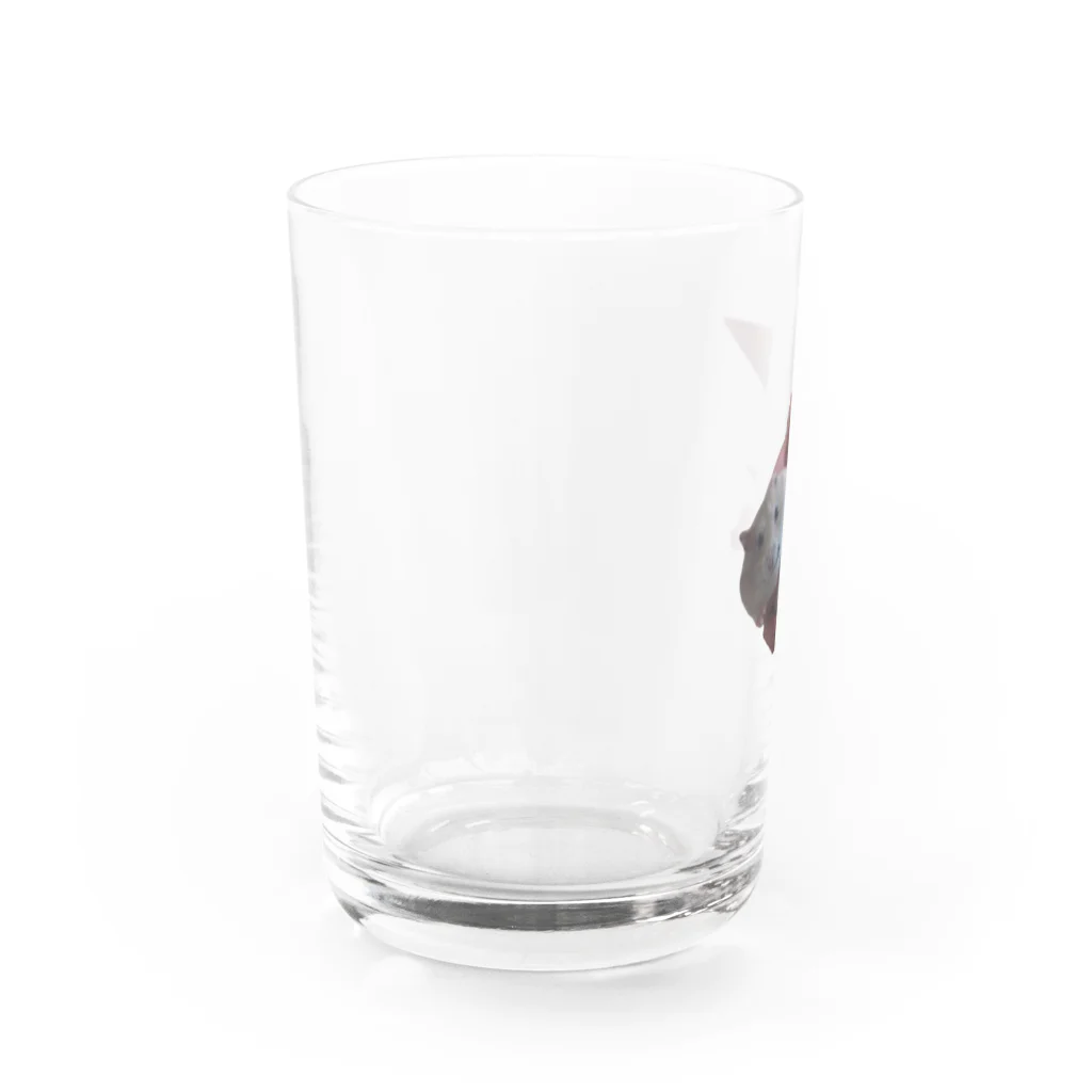 感受性訓練棟のハムスターのはむさん Water Glass :left