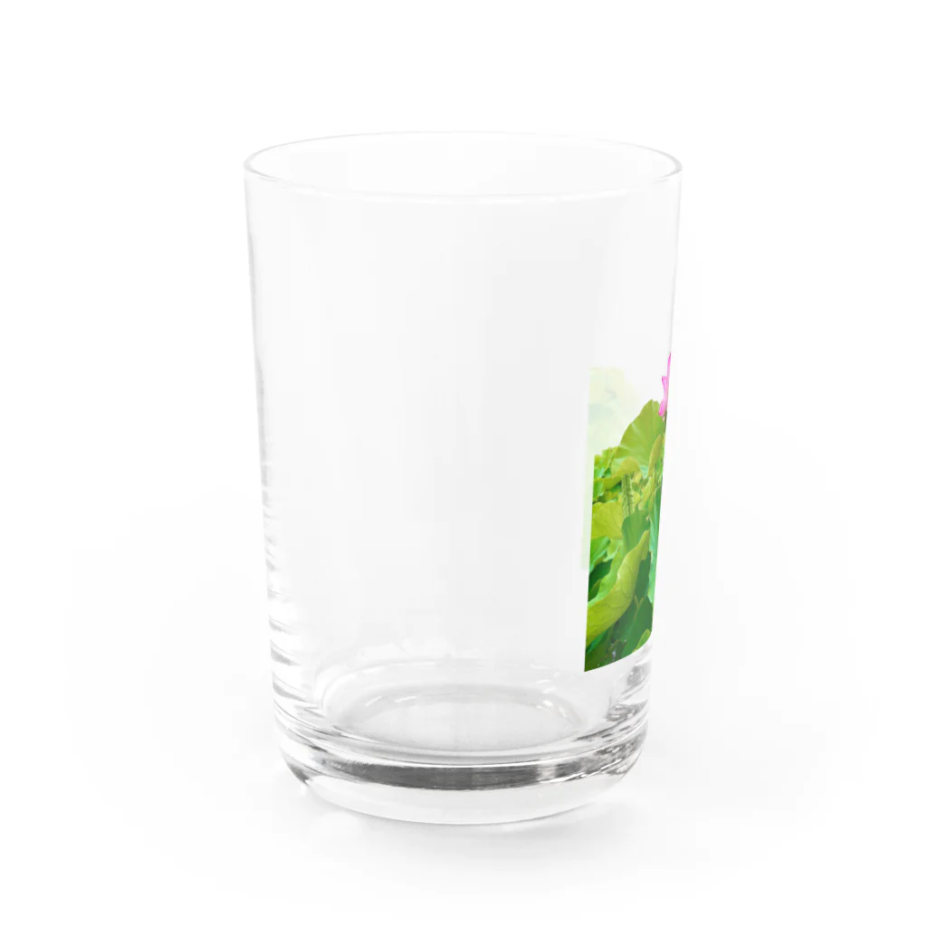 K子のお店＠主に自分用の臼杵の蓮 Water Glass :left