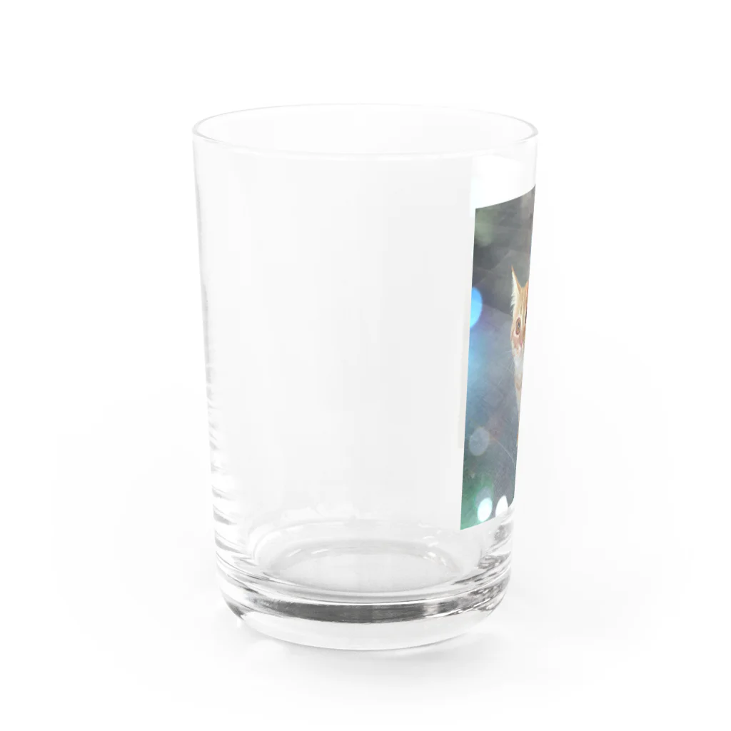 噛み噛み社長とにゃんこ達。のてんちゃん。 Water Glass :left