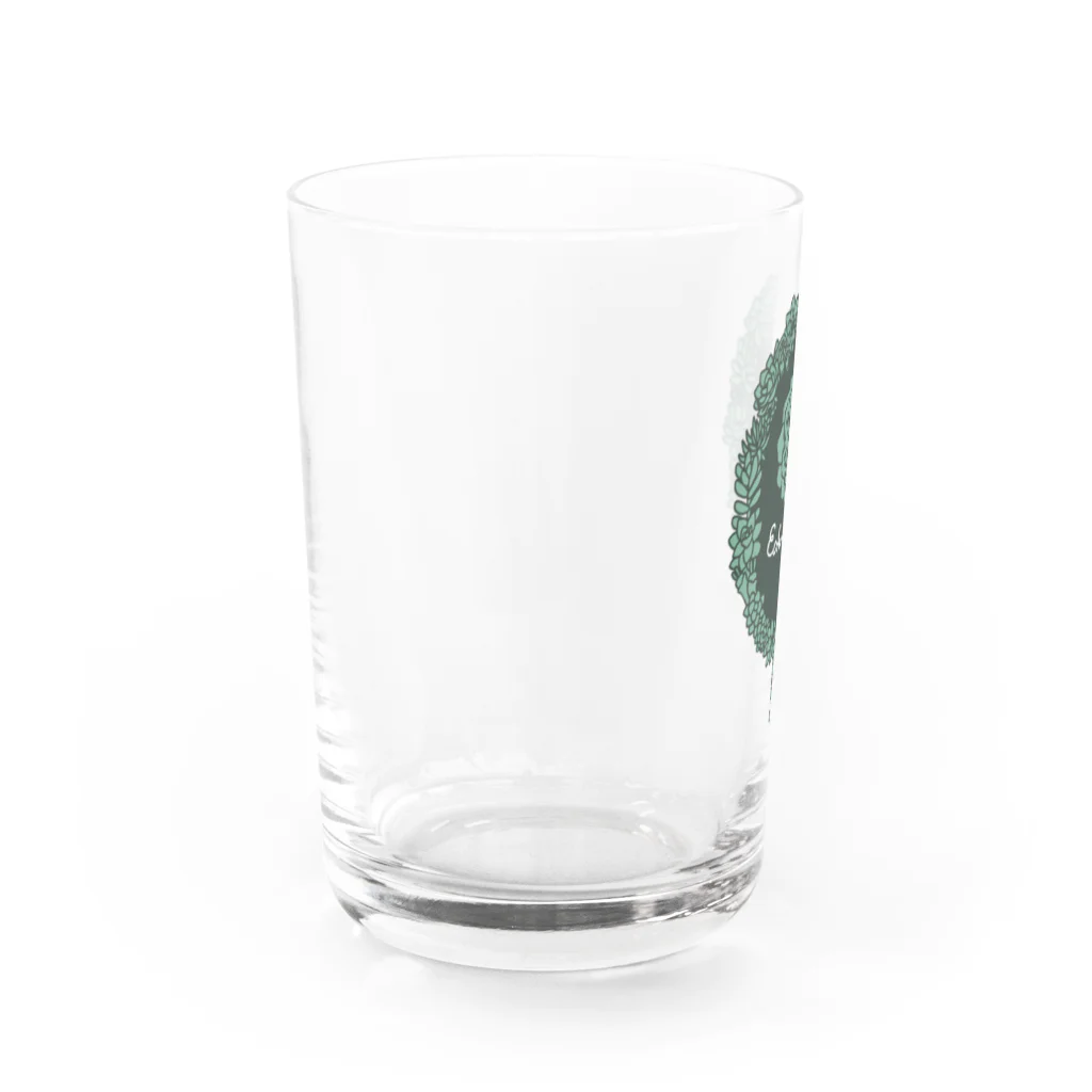 Alba spinaのエケベリア グリーン Water Glass :left