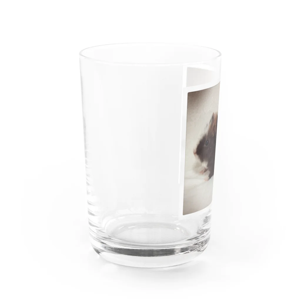 shop_イエティのイエティグッズ Water Glass :left