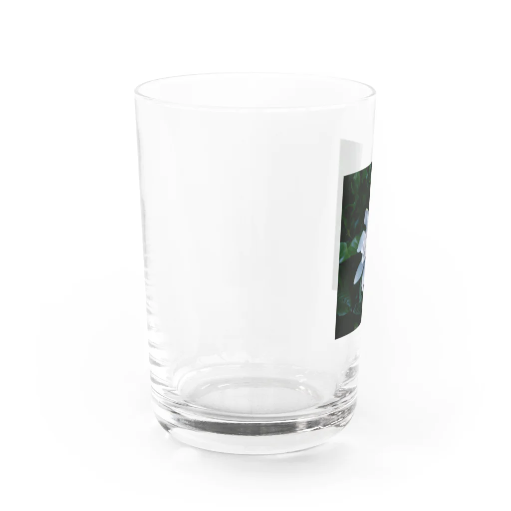 サトリアートのKuchinashi Water Glass :left